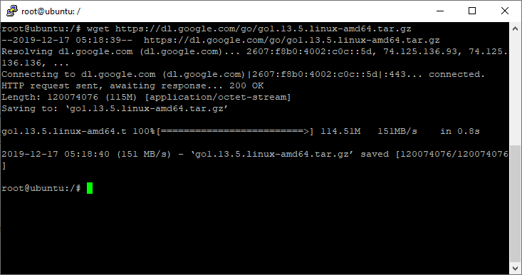 Wget Linux Go Binary Downloaded