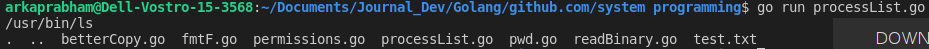 Ls Command With Go